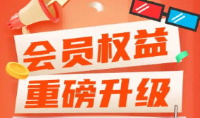 影视VIP批发网络图